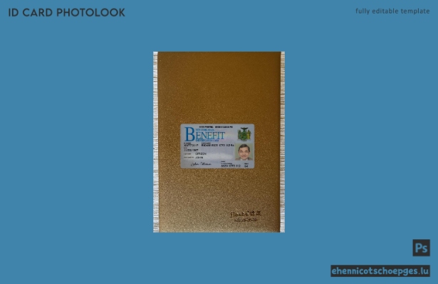 USA New York Benefit ID-Karte Fotoansicht Beispielvorschau